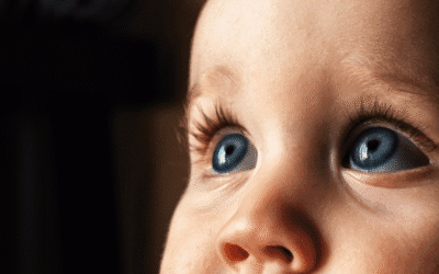 Baby Vision Development: Short Guide